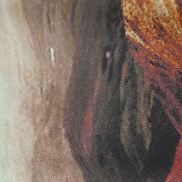 Clover Canyon Scenic Landscape & Lace Print Long Sleeve Mini Dress, Size M - Picture 6 of 9